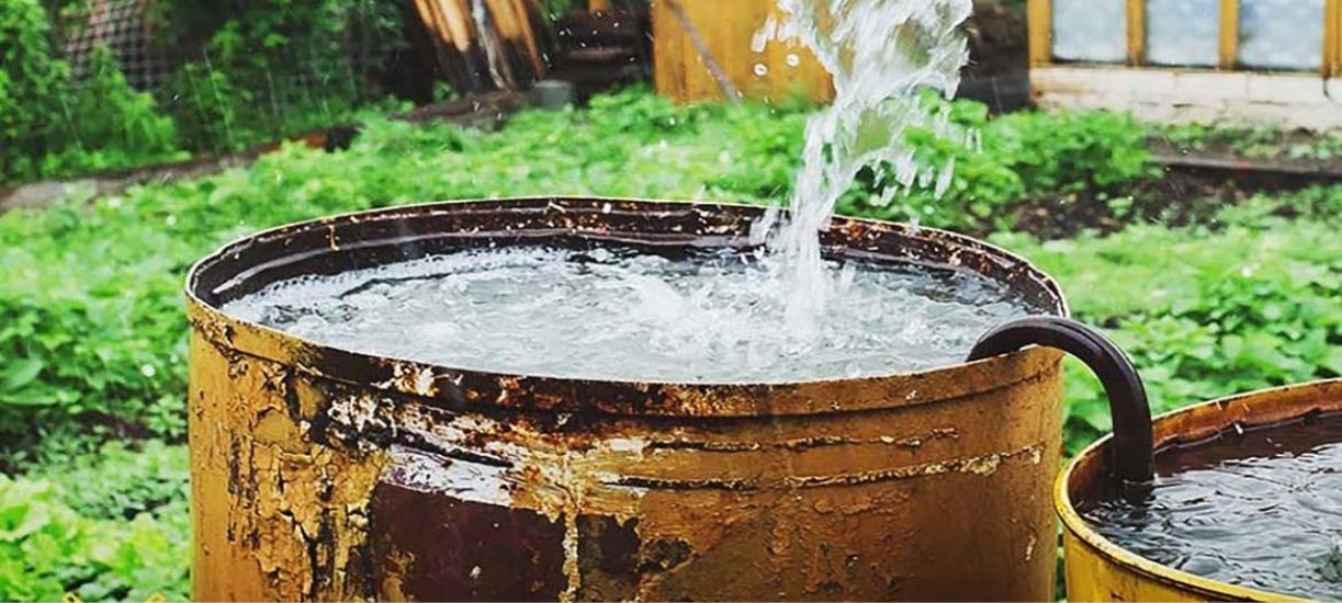 Il existe plusieurs systèmes pour économiser l'eau au jardin: récupération d'eau de pluie, paillages, granulés rétenteurs d'eau...