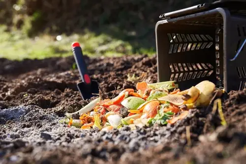 comment réaliser un bon compost ?