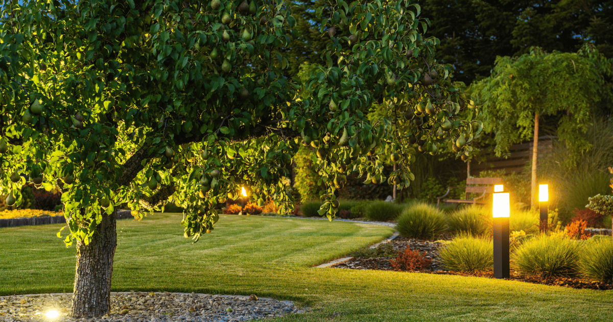 Aménagement de jardin