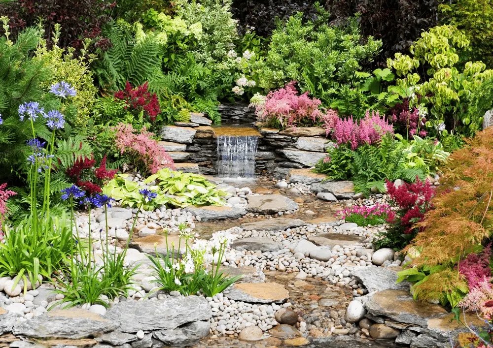 Jardin fleuri avec point d'eau et végétation abondante - calendrier annuel de culture et d'entretien des plantes du jardin